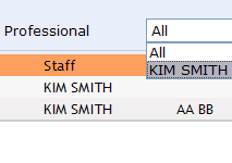 Support for Multiple Professionals